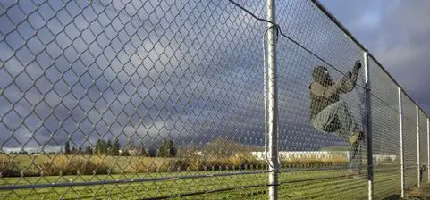 fence.webp